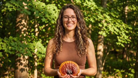 Fascinující Reishi (Ganoderma lucidum)