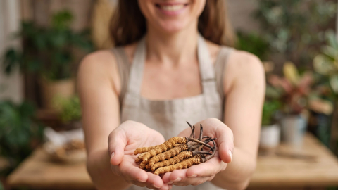 Cordyceps sinensis s neuvěřitelným životním cyklem